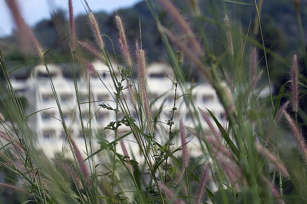 Eden Resort Karon Dış mekan fotoğraf